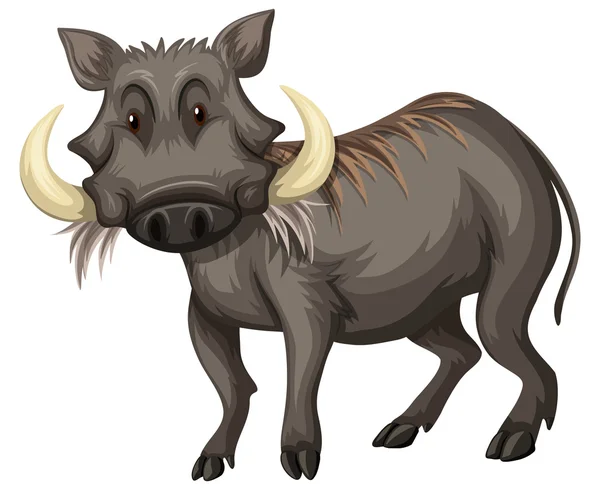 Wild pig with sharp teeth — Stock Vector