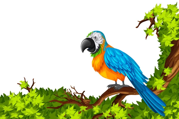 Parrot standing on branch — Stock Vector