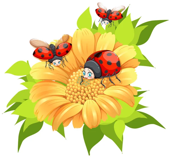 Sarı çiçek uçan ladybugs — Stok Vektör
