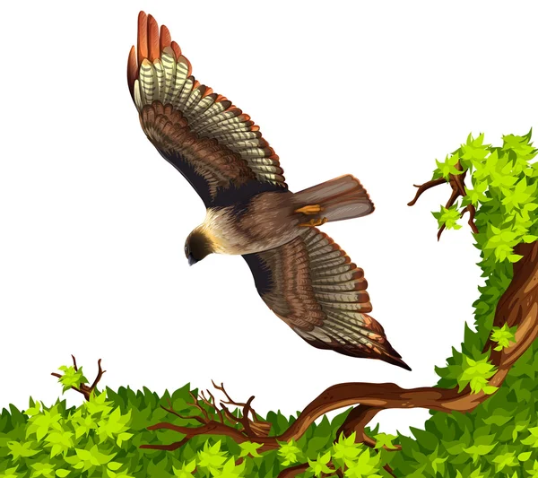 Örnen flyger över trädet — Stock vektor