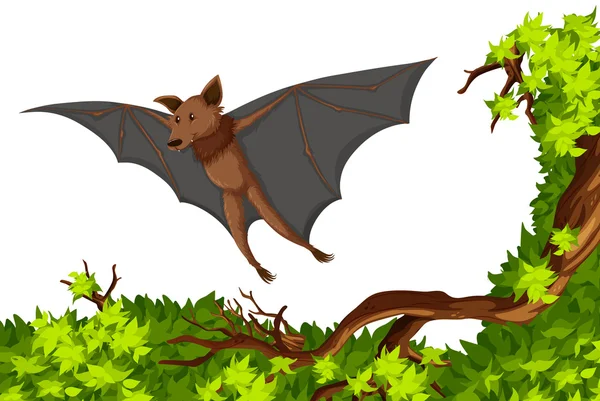 Bat, latające nad drzewa — Wektor stockowy