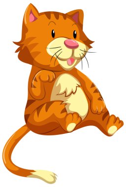 Turuncu kürk ile şirin kedi