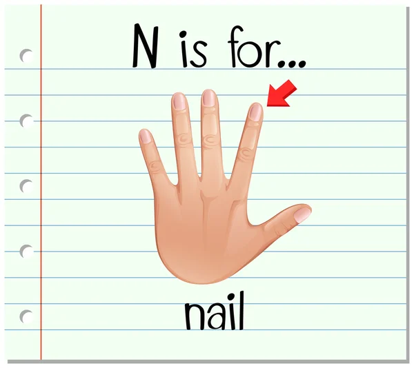 Flashcard letter N is for nail — Stock Vector