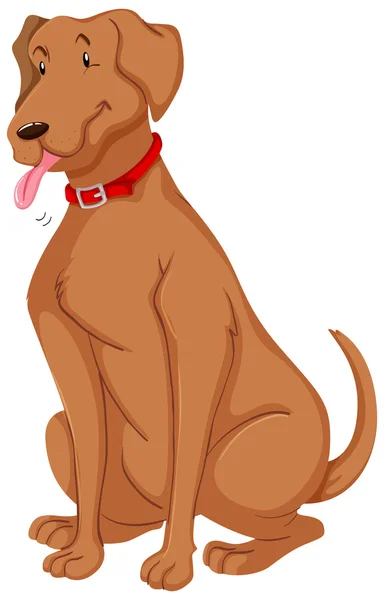 Perro mascota con piel marrón — Vector de stock