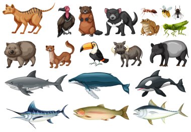 Set of different types of wild animals clipart
