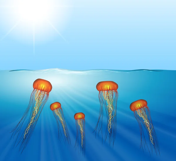 Deniz altında Yüzme denizanası — Stok Vektör