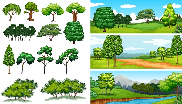 Escenas de naturaleza con árboles y campos — Vector de stock