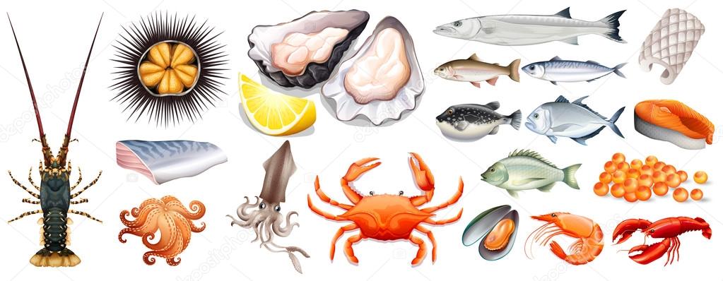 Different types of seafood online
