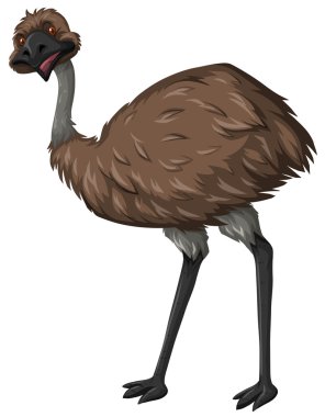 Kahverengi tüy ile Emu Kuşu