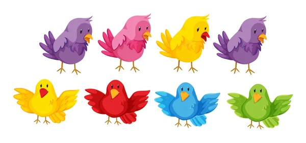 Conjunto de aves con plumas de colores — Vector de stock