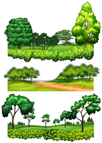 Přírodní scény s polí a stromů — Stockový vektor