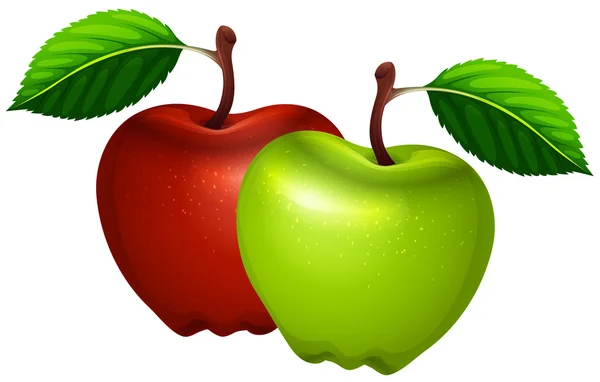Hijau segar dan apel merah - Stok Vektor