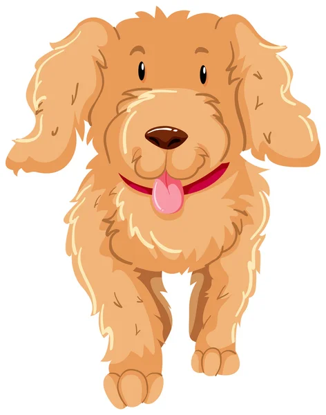Perro con pelaje marrón esponjoso — Archivo Imágenes Vectoriales