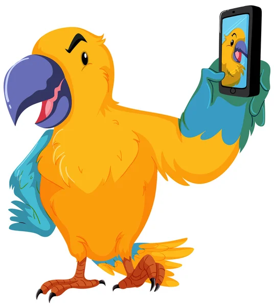 Papagáj véve kép cellphone — Stock Vector