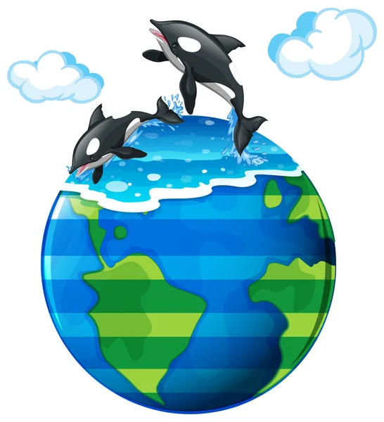 Due orche che nuotano nel mare — Vettoriale Stock