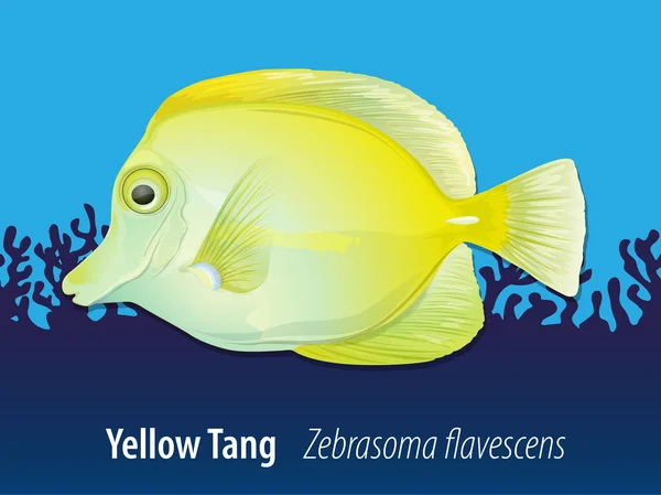 Жовта Тан, купання в океані — стоковий вектор
