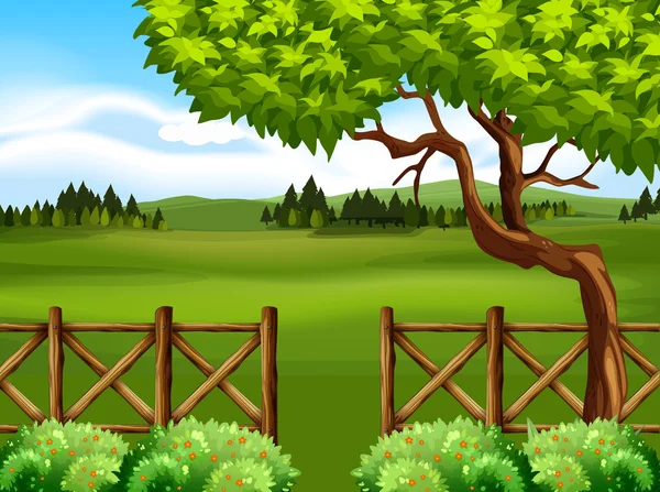 Natur scen med träd och fält — Stock vektor