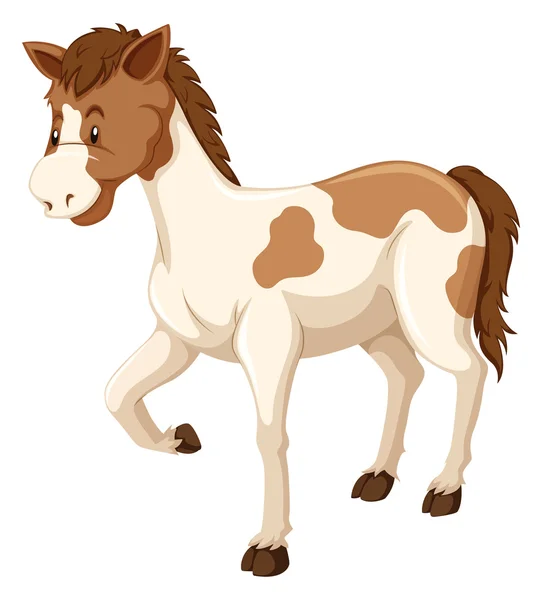 Caballo de piel marrón y blanca — Vector de stock