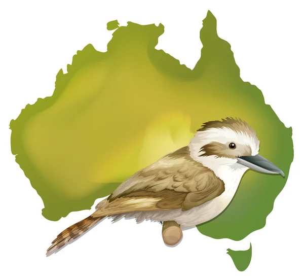 Aves silvestres en Australia — Archivo Imágenes Vectoriales