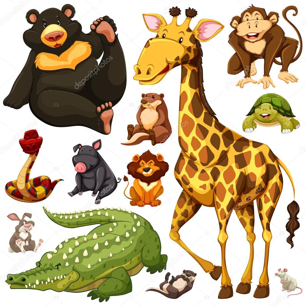 Different types of wild animals Stock Vector Image by ©blueringmedia #118001706 Different types of wild animals Stock Vector Image by ©blueringmedia #118001706
