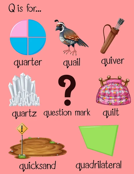 Pictures: picture starts with letter q | Many words begin with letter Q