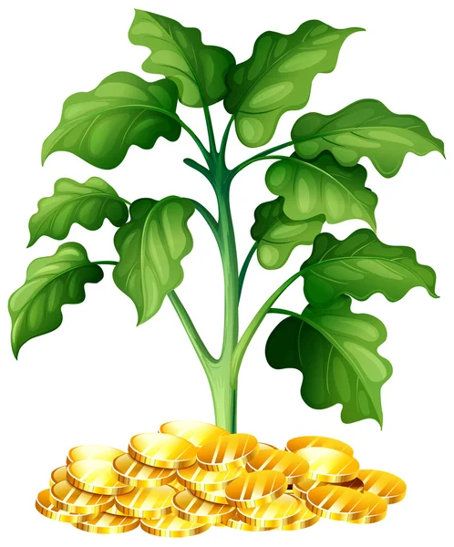 Καλλιέργεια για χρήματα φυτών — Διανυσματικό Αρχείο