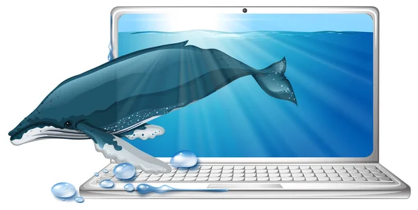 Baleia sob o mar na tela do computador — Vetor de Stock