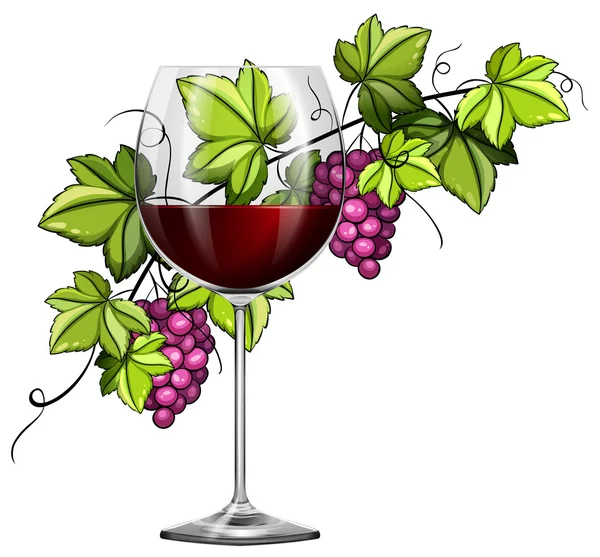 Red wine in glass and grapes in background — Stock Vector