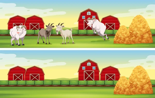 Scena fattoria con capre e fienili — Vettoriale Stock