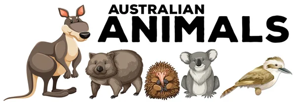Wild animals from australia — Stock Vector