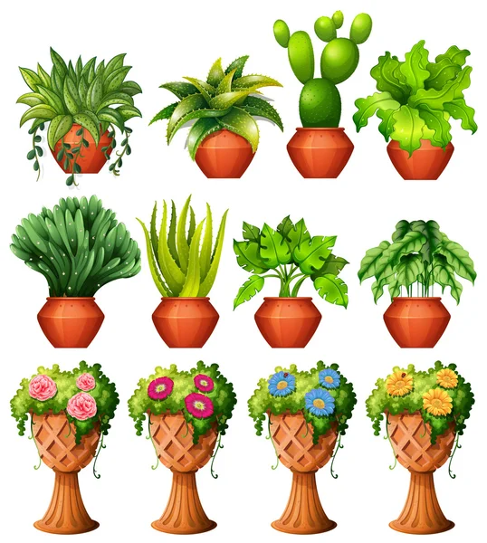 Set of plants in pots — Stock Vector