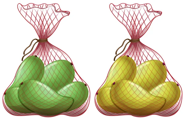 Fresh mangoes in net bags — Stock Vector