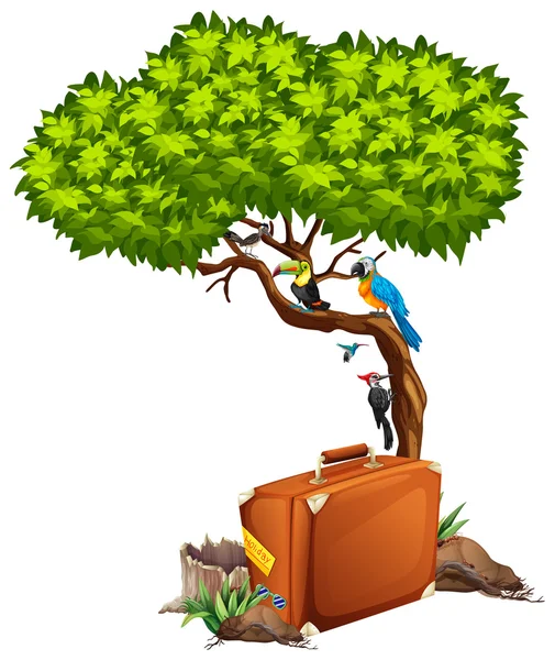 Kufr a mnozí ptáci na stromě — Stockový vektor