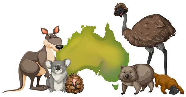 Άγρια ζώα στην Αυστραλία — Διανυσματικό Αρχείο