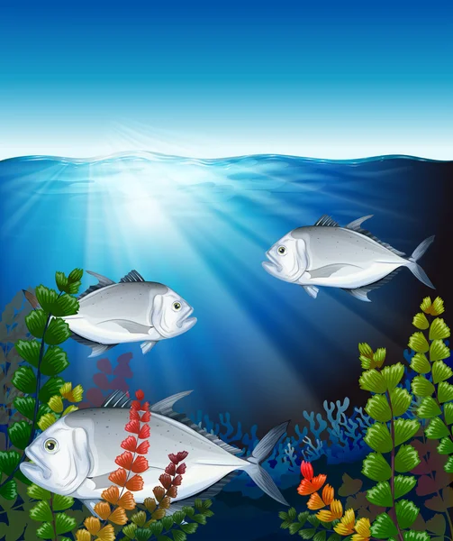 Три рыбы, плавающие в океане — стоковый вектор
