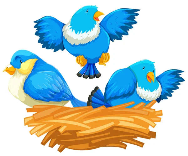 Три голубые птицы в гнезде — стоковый вектор