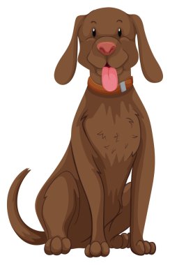 Sevimli köpek kahverengi kürklü