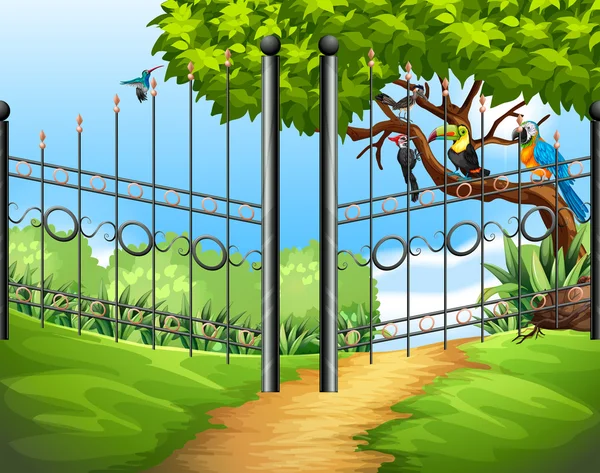 Scen med metall staket och fåglar på träd — Stock vektor