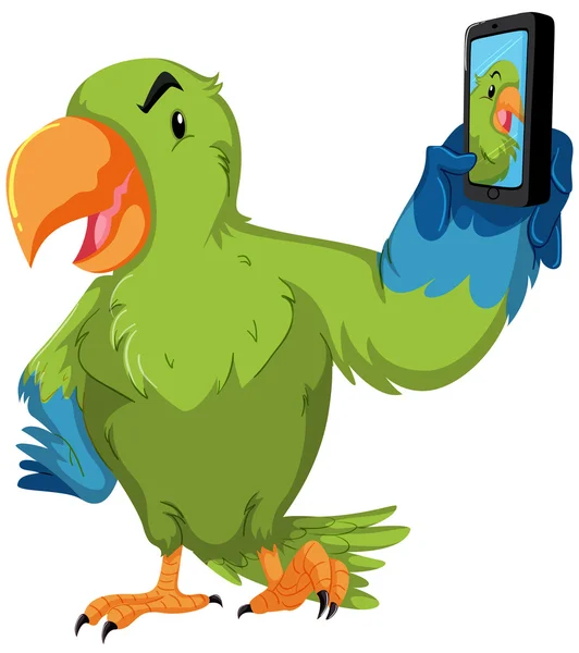 Figyelembe véve, telefonnal selfie zöld papagáj — Stock Vector