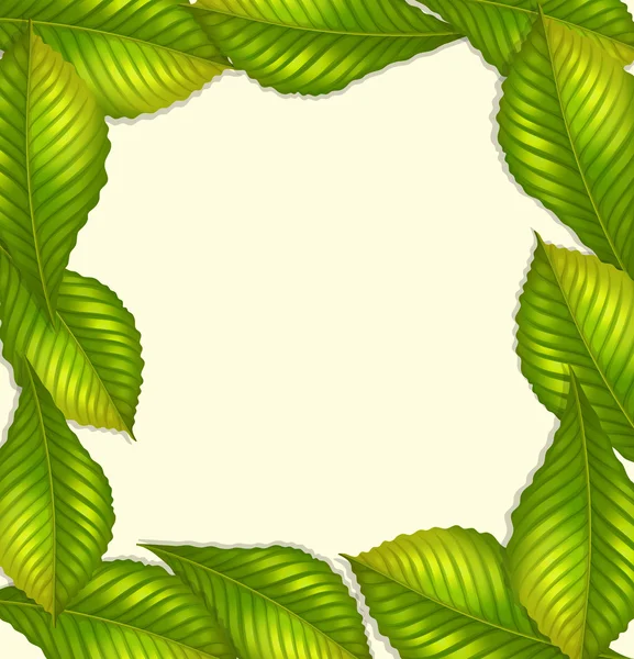 Frame design with green leaves — Stock Vector