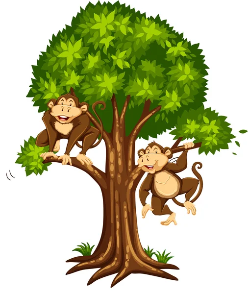 Caricatura lindo árbol — Vector de stock © starlight789 #40947421