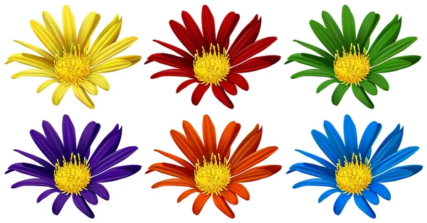 Flowers in six different colors — Stock Vector