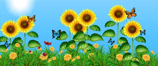 Butterflies flying in the sunflower field — Stock Vector