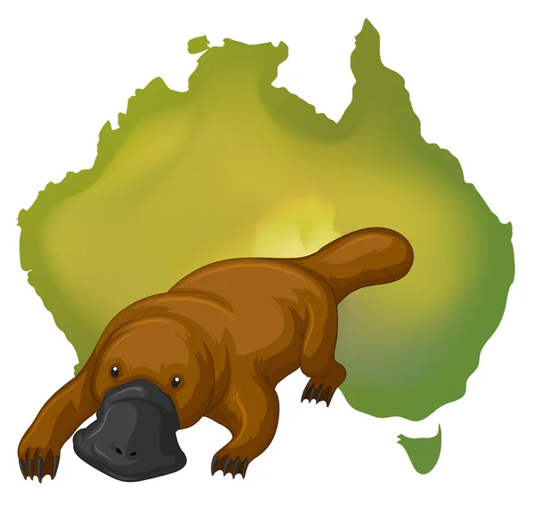 鸭嘴兽和澳大利亚地图 — 图库矢量图片