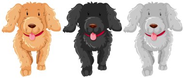 Mutlu yüz üç kaniş köpekle