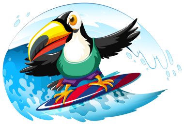 Dev dalga sörf tahtası üzerinde Toucan