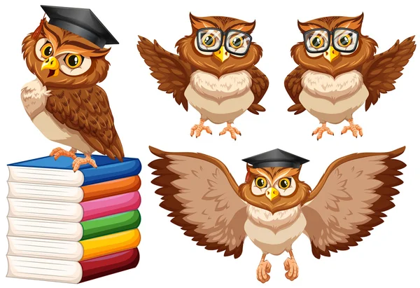 Owls wearing glasses and cap — Stock Vector