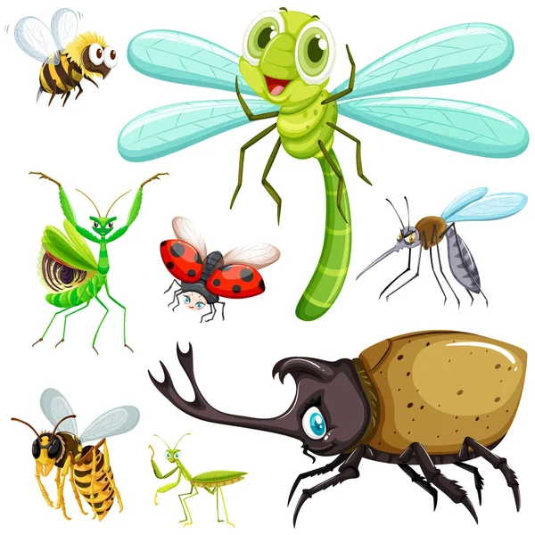 Diversi tipi di insetti — Vettoriale Stock