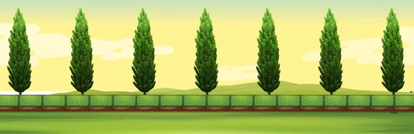 Scène avec des pins dans le parc — Image vectorielle