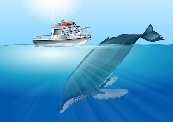 Velryba plavání v oceánu — Stockový vektor